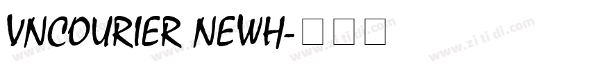 VnCourier NewH字体转换
